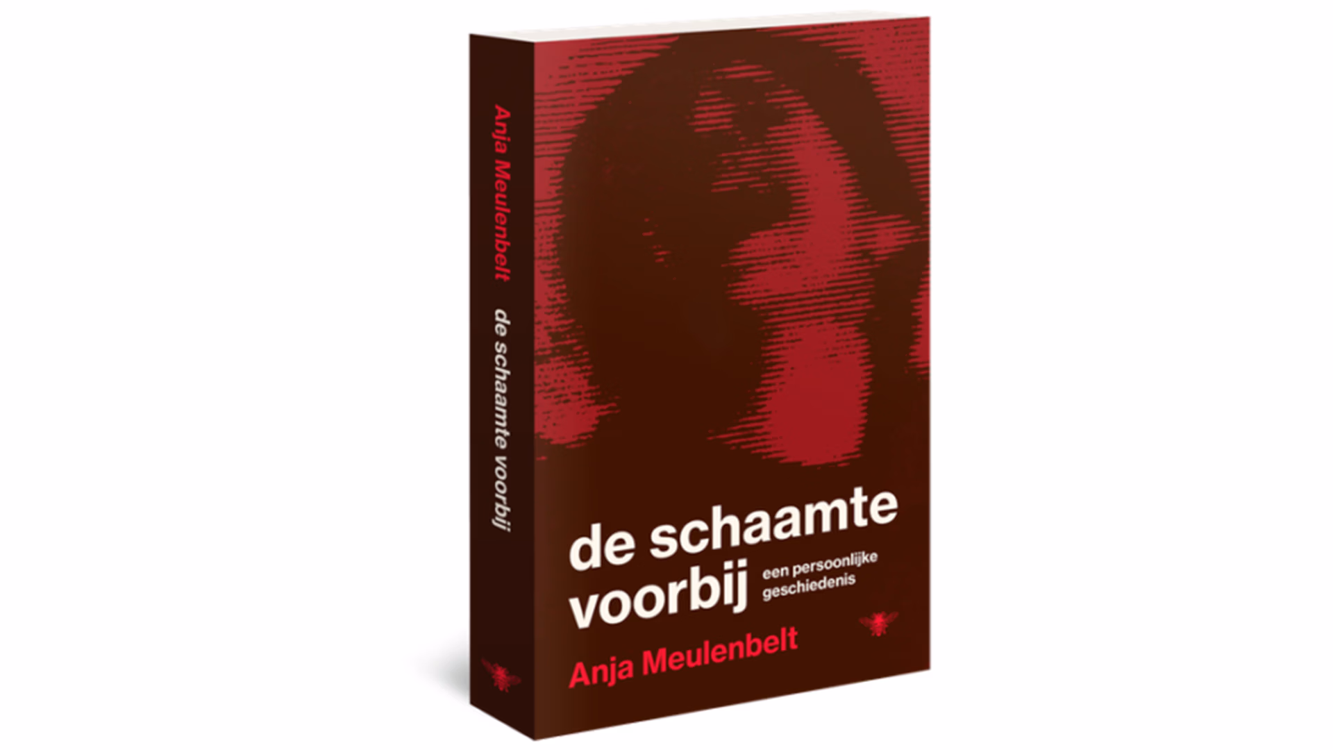 De schaamte voorbij