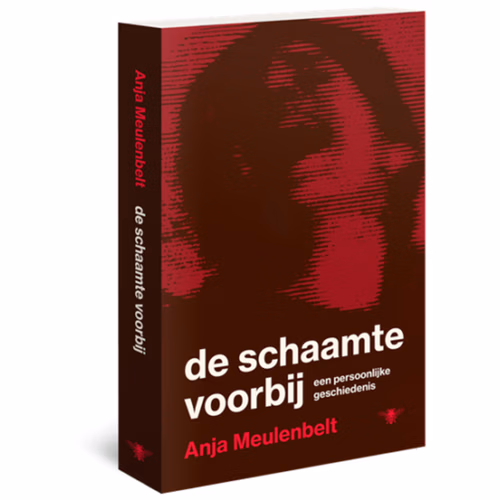 Win het boek 'De schaamte voorbij' van Anja Meulenbelt