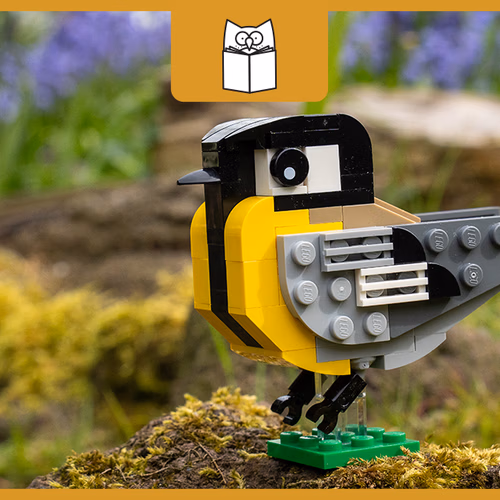 Zet je eigen koolmees in elkaar + filmpje