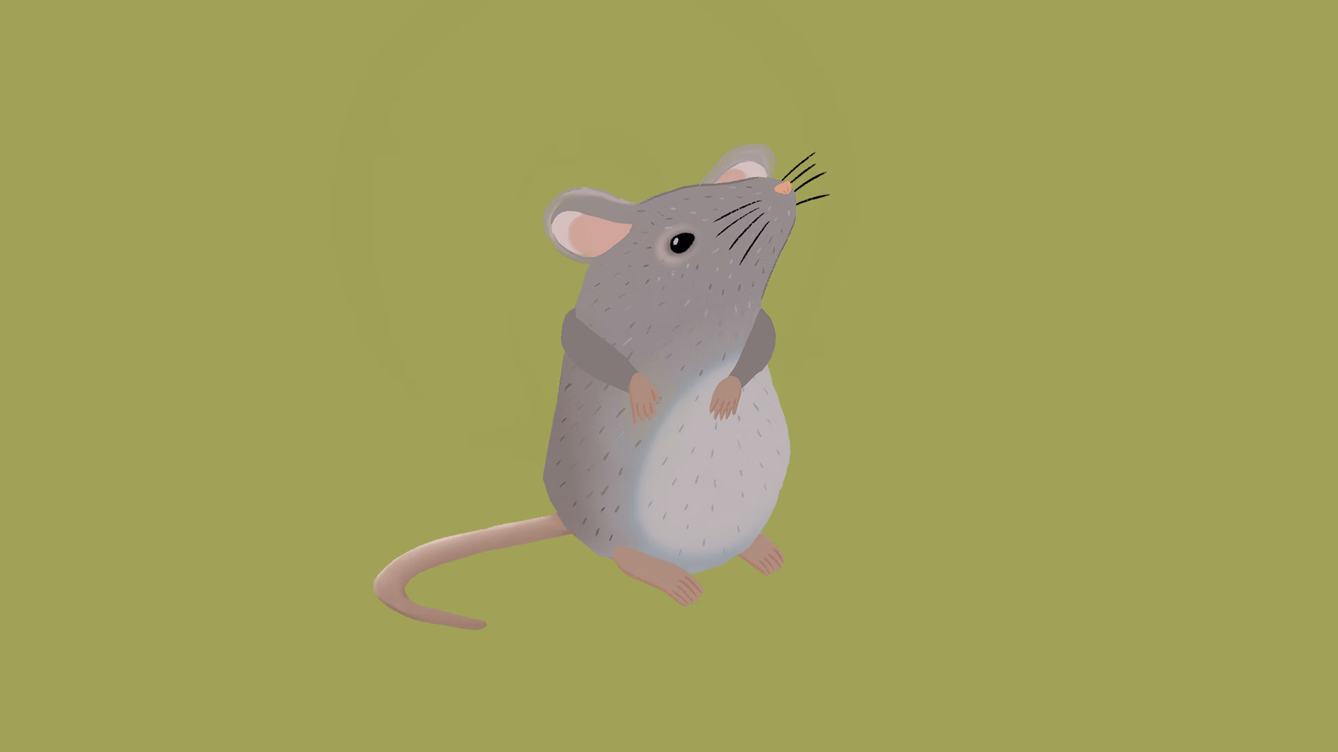 muis