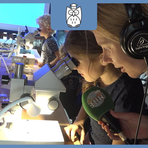 Kinderen onderzoeken waterleven op slootjessafari