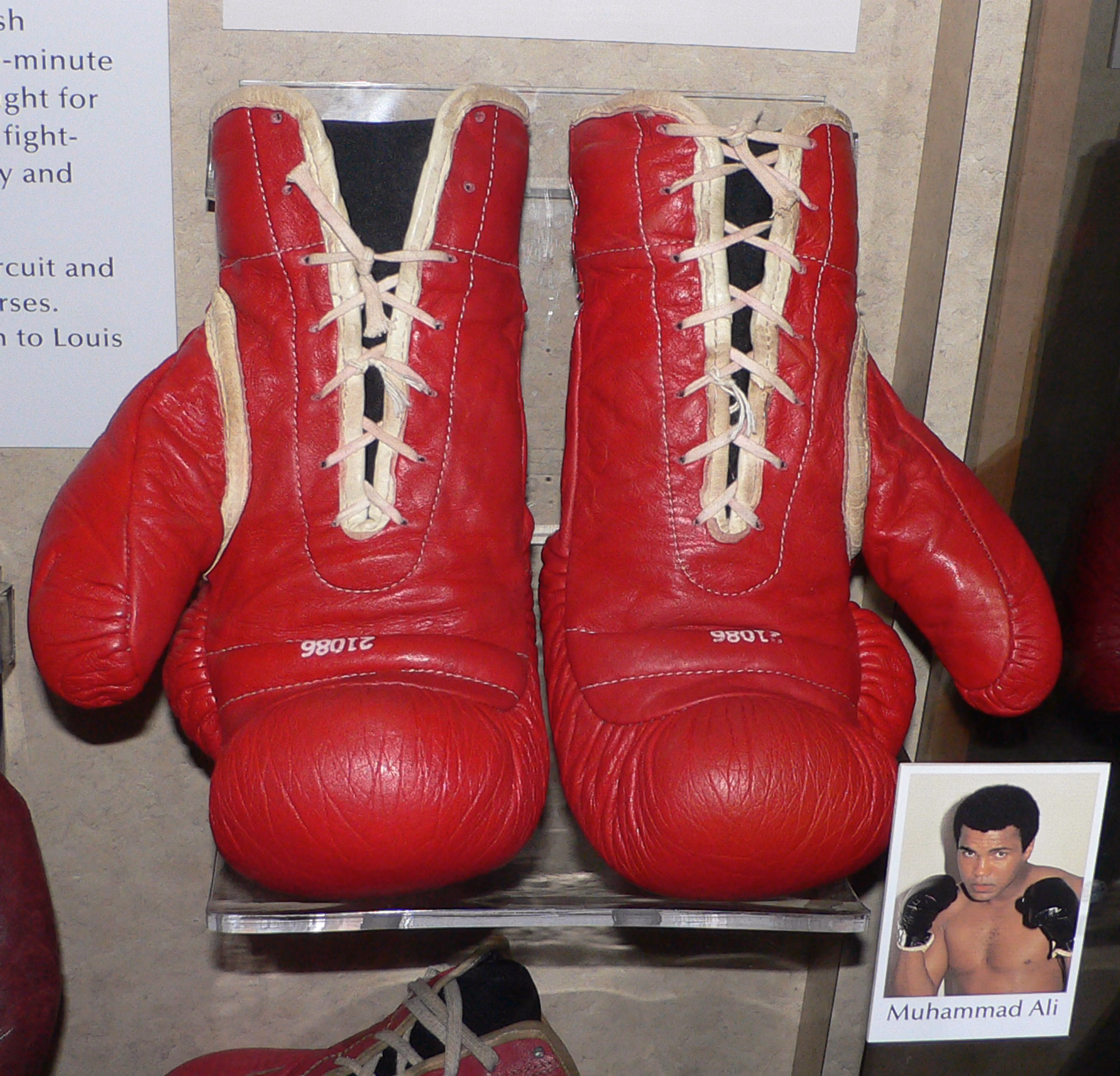 Muhammad_Ali's_boxing_gloves