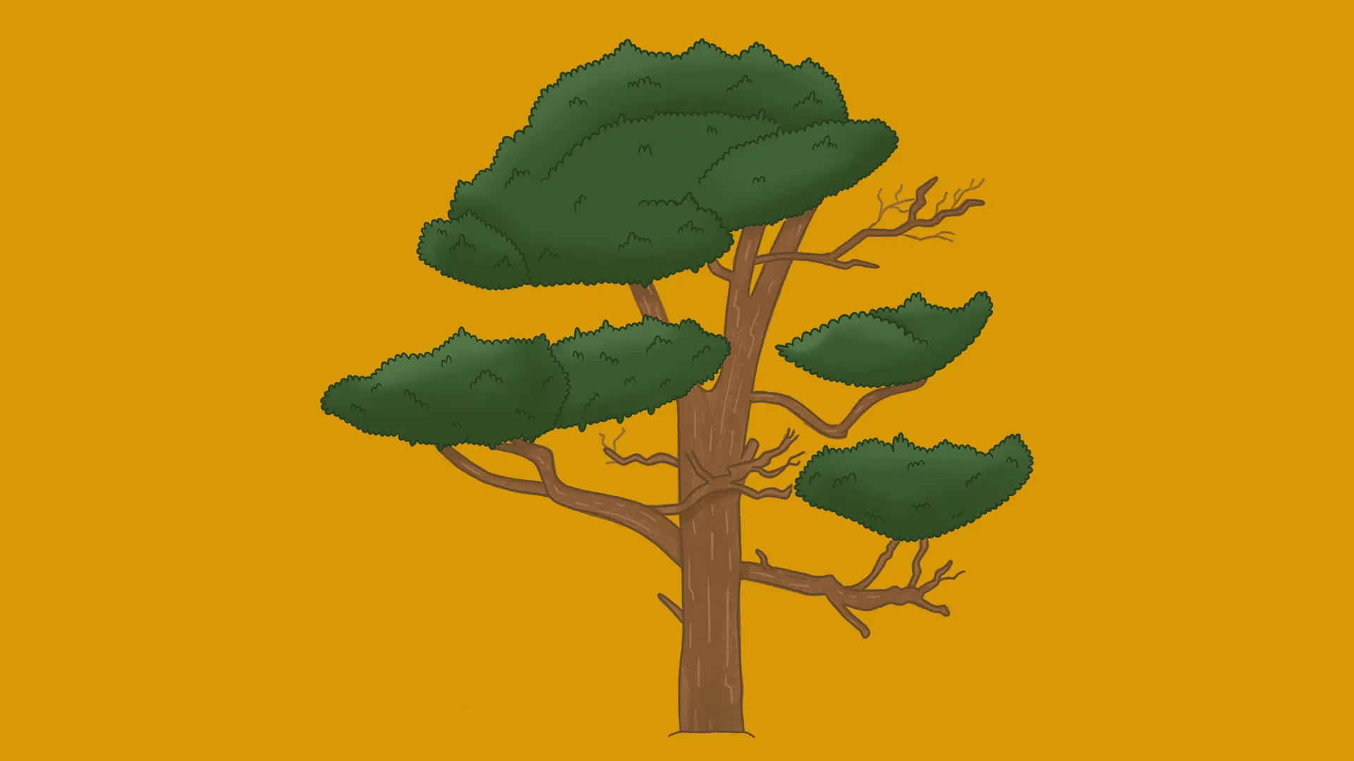 Afbeelding van Grove den