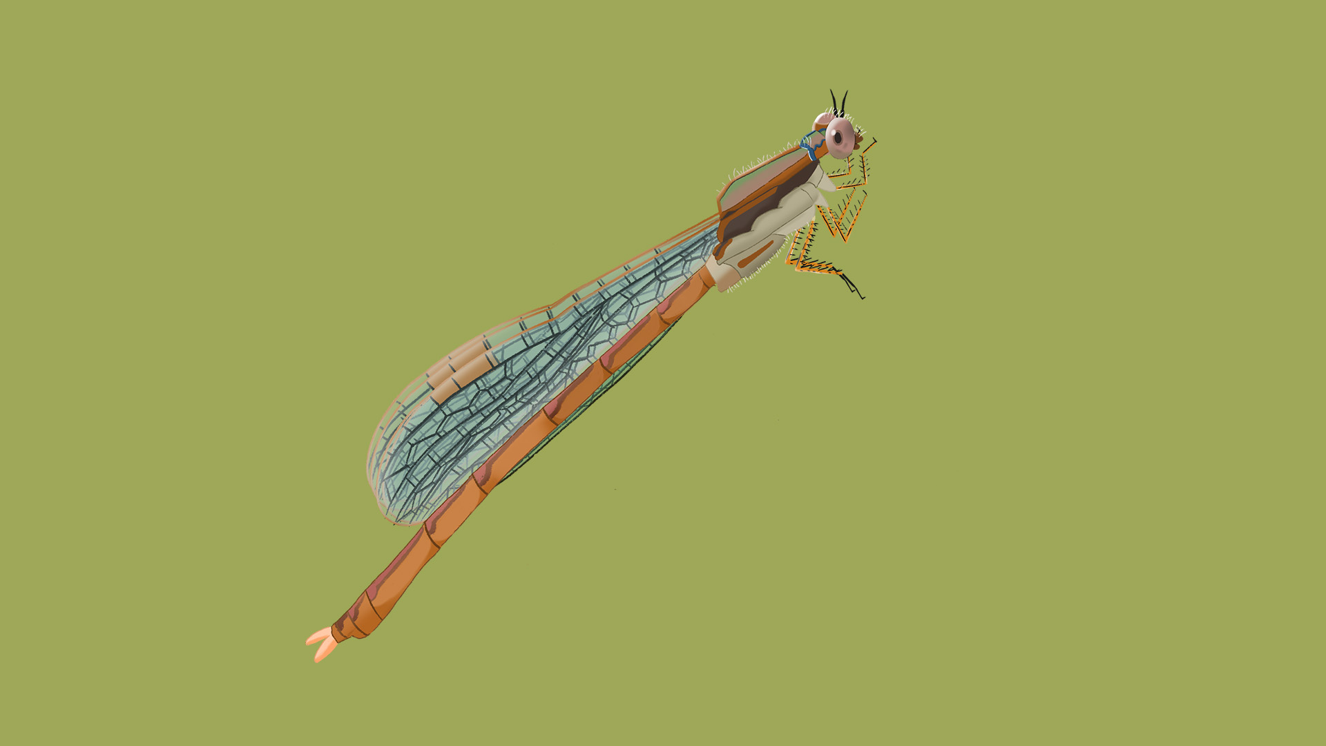 bruine winterjuffer_