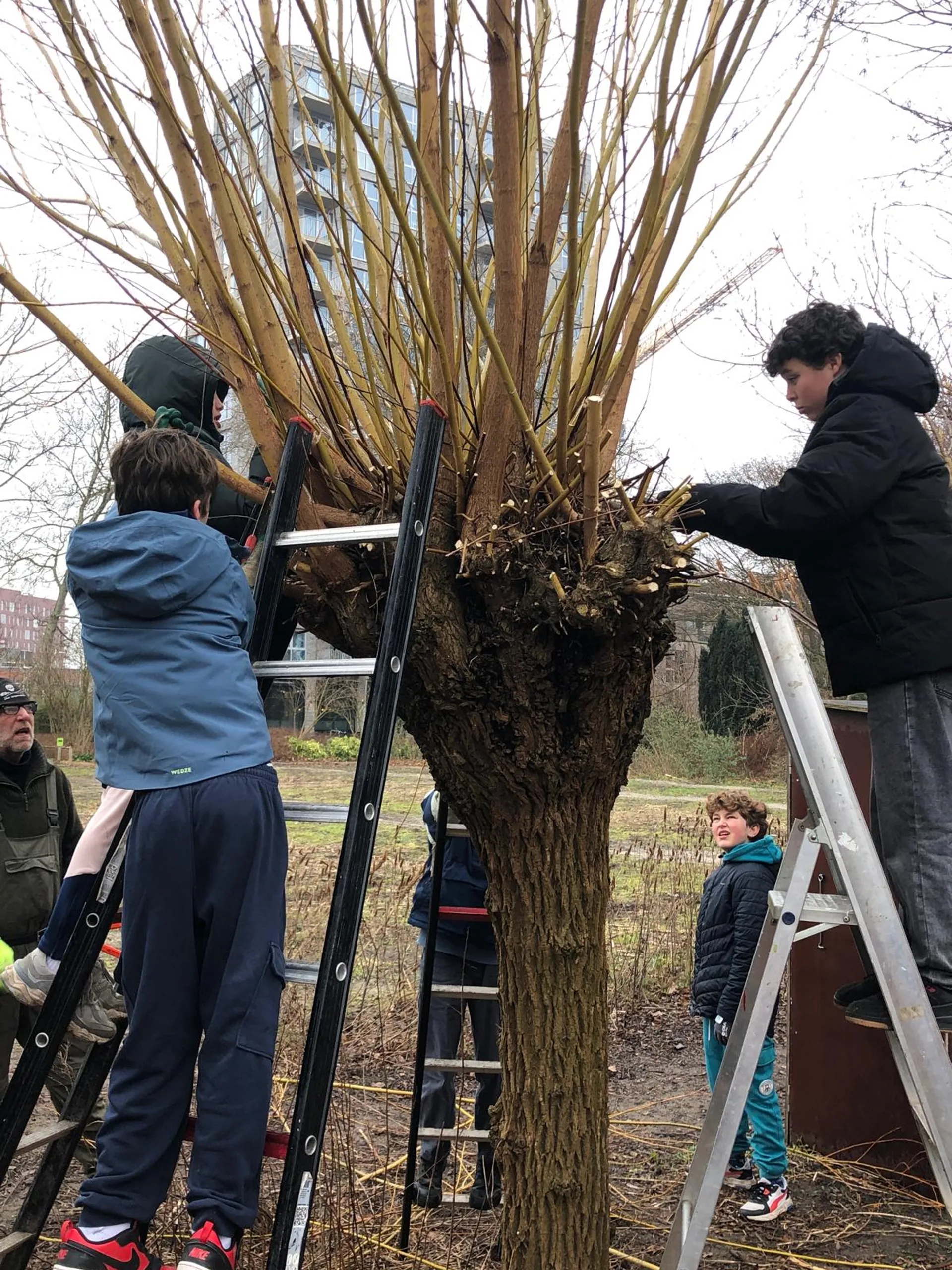 PHOTO-2026-02-20-13-26-40