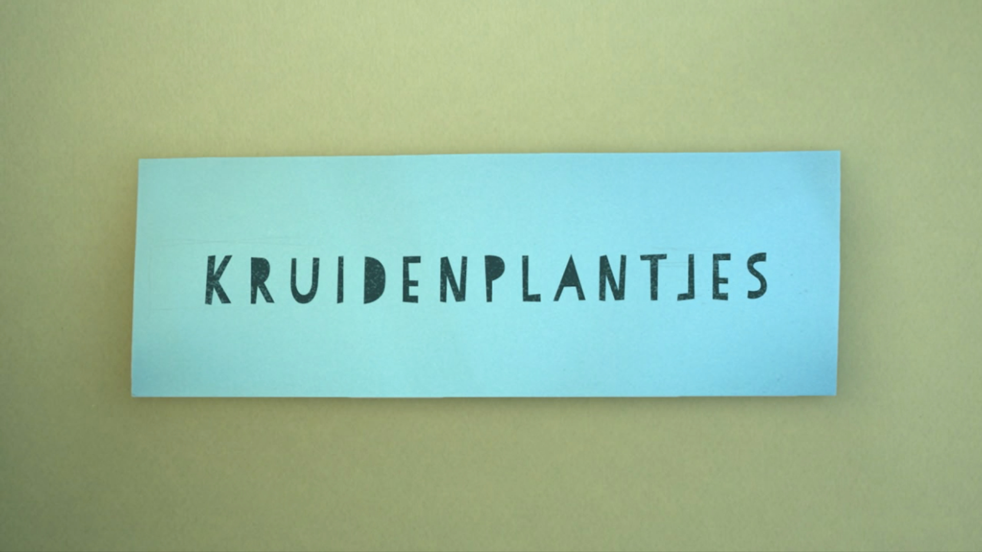 Kruidenplantjes