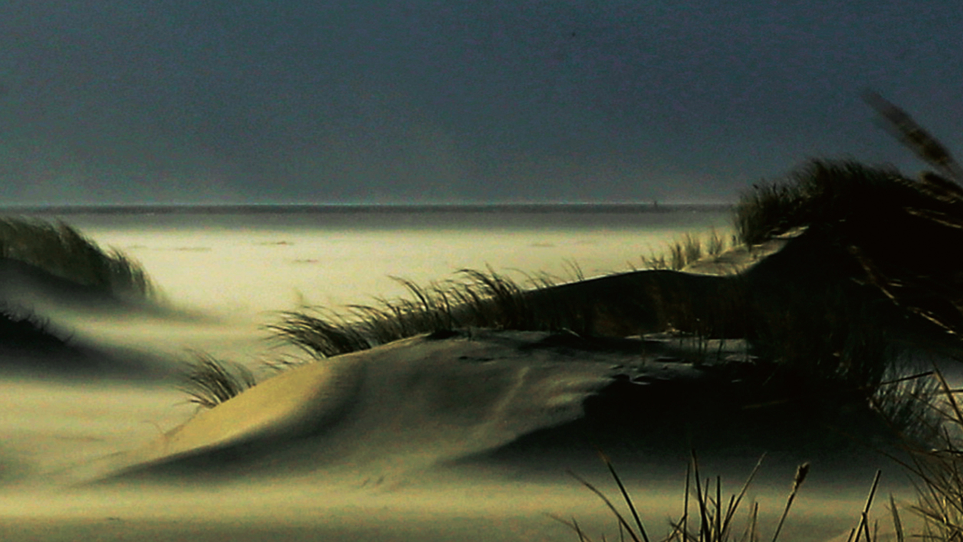 Prepr Duinen