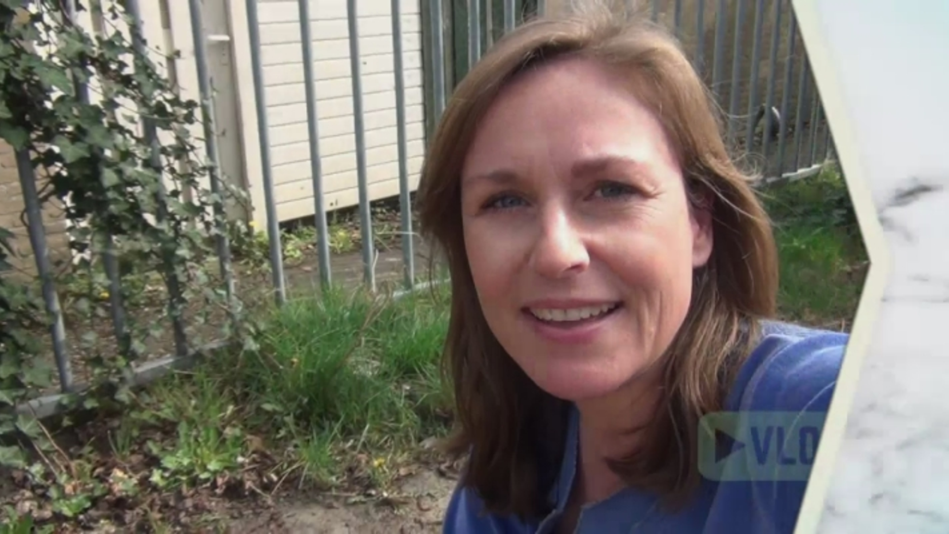 bestrijdingsmiddelen