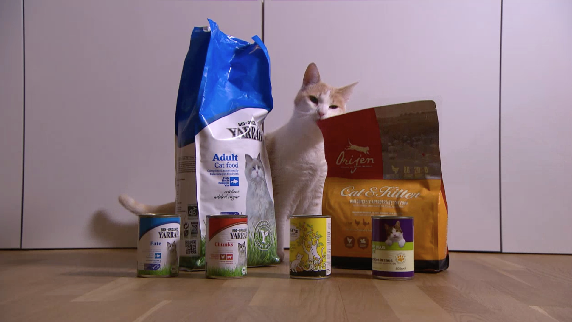 kattenvoer-groenlicht