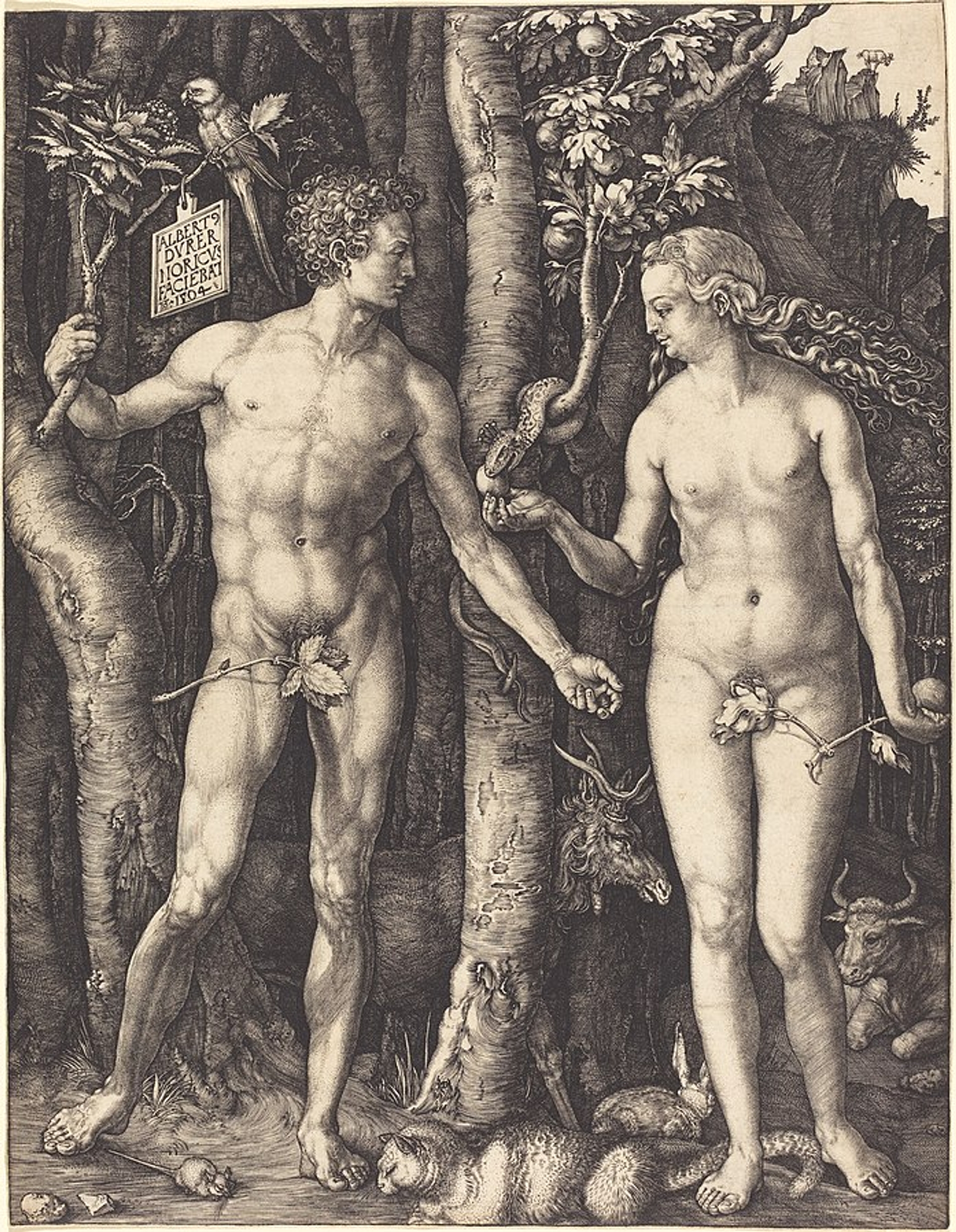 697px-Albrecht_Dürer,_Adam_and_Eve,_1504,_NGA_6610