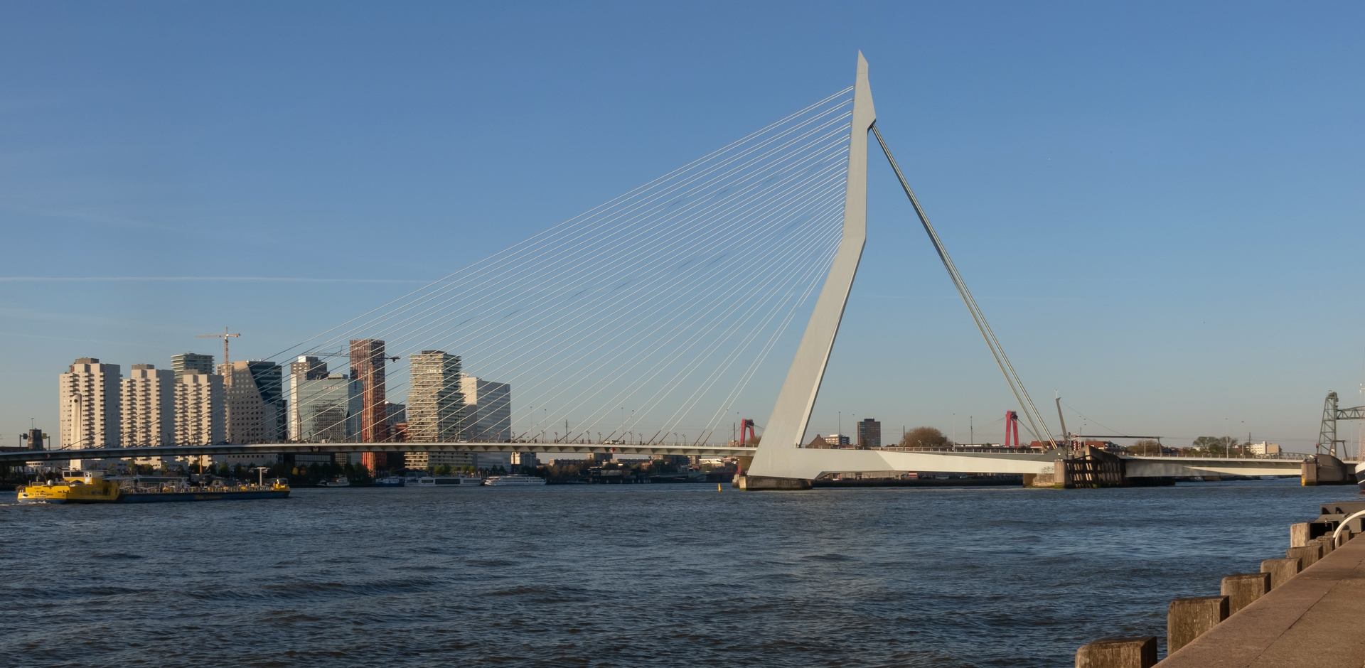 Rotterdam,_de_Erasmusbrug_vanaf_de_Holland-Amerikakade_IMG_1164_2022-04-17_19.32