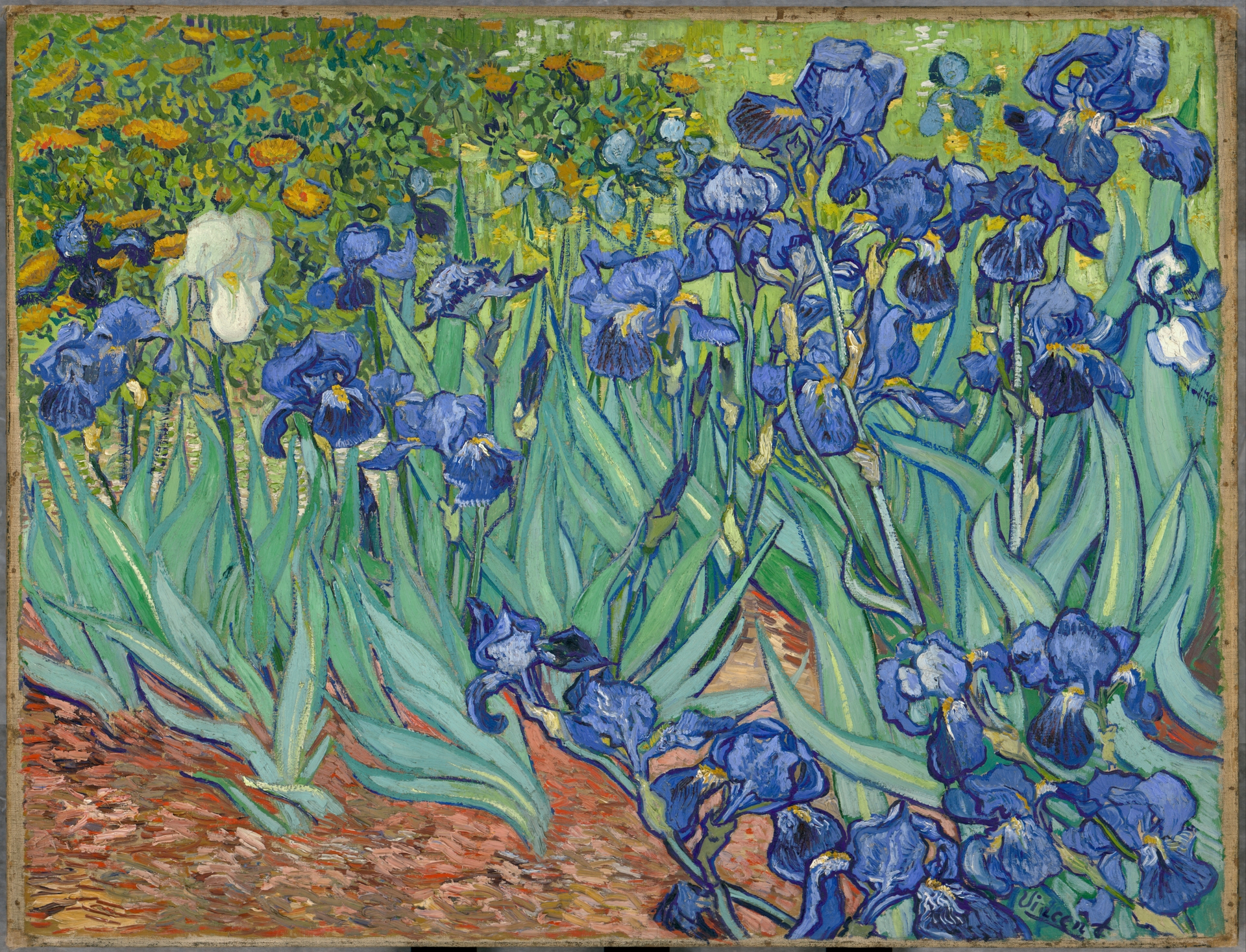 Irises-Vincent_van_Gogh