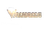 Logo Valhalla