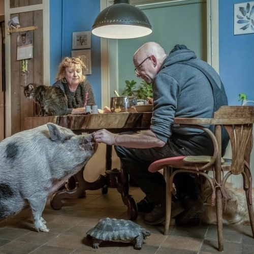 Fotowedstrijd winnaars en shortlist