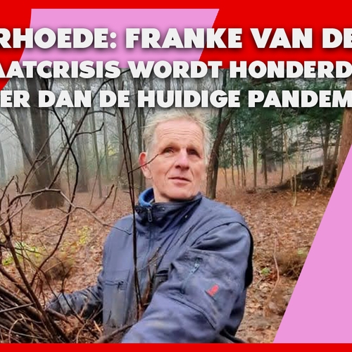 De VoorHoede: Franke van der Laan