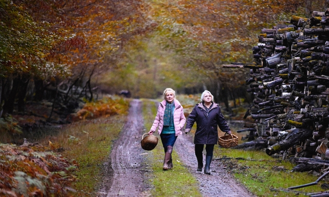 Afbeelding van BNNVARA-voorpremière: Quand Vient L'Automne